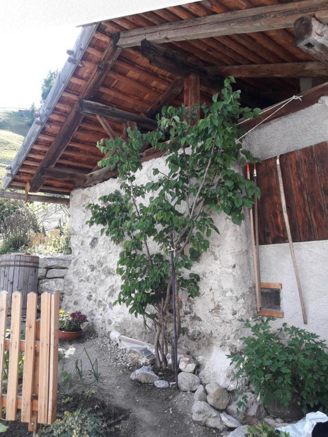 Hofstatthof Campo di Trens Exterior foto
